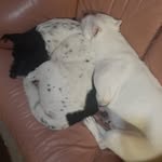 Anthony Stackhouse - @stackhouse.anthony - Instagram