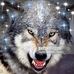 Anthony Stankiewicz - Facebook