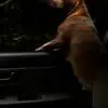 Anthony Stapleton - @anthony.stapleton86 - TikTok