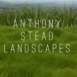 Anthony Stead Landscapes - @anthonysteadlandscapes - Instagram