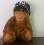 Anthony Stefanucci - Facebook