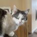 Antony Steinberg - Facebook