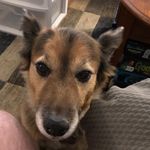 Anthony Steinbrecher - @steinbrecheranthony - Instagram