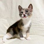 Anthony Steinman - @anthonysteinman - Instagram