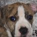 Anthony Stempien - Facebook