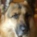 Anthony Stempien - Facebook