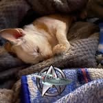 Anthony Stern - @murphzlaw1 - Instagram