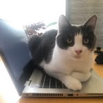 Anthony Stern - @anthonystern3 - Instagram