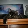 Anthony Stern - @anthony.stern4 - TikTok