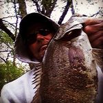 Anthony Still - @abcd16883423 - Instagram