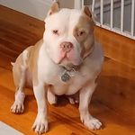 James Anthony Stratis - @jas_crunch - Instagram