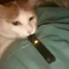 Anthony Straughn - @somedudedoingstuff - TikTok