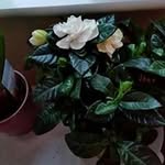 Anthony Stroud - @stroud8207 - Instagram