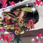 Anthony Sylvester - Facebook