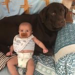 Anthony Tait - @anthony.tait.739 - Instagram