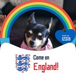 Anthony Tait - @anth1406 - Instagram