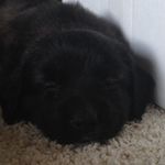 Anthony Tait - @darkus_plasma - Instagram