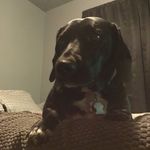 Anthony Tassone - @tassone60 - Instagram