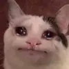 anthonytassone771 - @anthonytassone771 - TikTok
