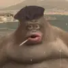 AnthonyTheUsual23 - @anthonytheusual23 - TikTok
