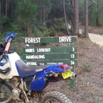 Anthony Thomas Toohey - @thumper_mad8 - Instagram