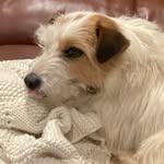 Anthony Toohey - @toohey_anthony - Instagram
