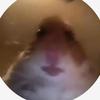 MY NEW MAIN - @anthony.toppi_ - TikTok