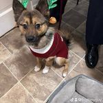 Anthony tortora - @tortora634 - Instagram