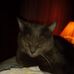 Anthony Townsend - Facebook