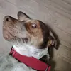 Anthony Townsend - @anthony.townsend4 - TikTok