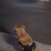 Tupper Security Services - @anthonyntupper - TikTok