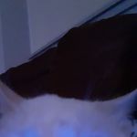Anthonyt Turnbow - @anthonytturnbow - Instagram