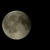 Anthony trussler - @anthonyt2023 - TikTok