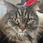 Anthony Udell - @comradeseered - Instagram