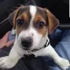 anthonyugrinic - @anthony.ugrinic - TikTok