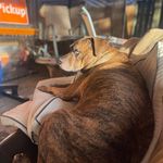 Anthony Brennenstuhl - @anthonybrennenstuhl - Instagram