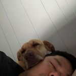 Anthony LE - @anthonyuhle - Instagram