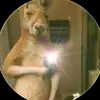 Anthony Ulloa - @anthony.ulloa003 - TikTok