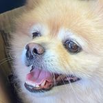 Anthony Ung - @anthony._.ung - Instagram
