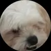 anthonyurrealopez - @anthonyurrealopez - TikTok