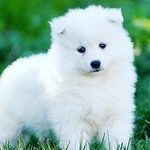 anthonyvaden - @anthonyvaden52 - Instagram