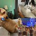 Vader Anthony - Facebook