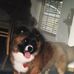 Anthony Varwig - Facebook