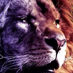 Anthony Ueta Vecchia - @anthonyueta - Instagram