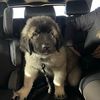 anthonyvella868 - @anthonyvella868 - TikTok