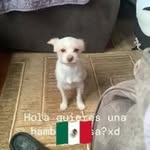 Anthony chiquillo - @vilchis_anthony - Instagram