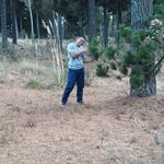 Anthony Viloria - @anthonyviloria1803 - Instagram