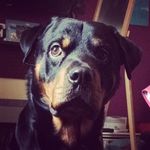 Anthony Walmsley - @anthonywalmsley64 - Instagram