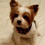 Anthony Walter - @jerrymingan - Instagram