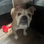 Anthony Wanzer - @wanzeranthony - Instagram